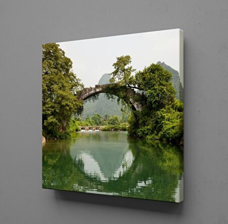 DOĞANIN İÇİNDEKİ KÖPRÜ