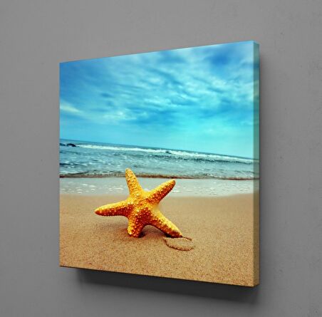 KUMSALDA DENİZ YILDIZI