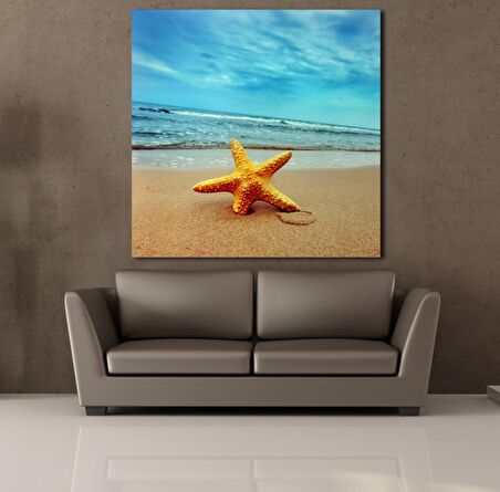 KUMSALDA DENİZ YILDIZI