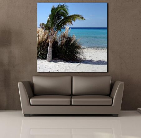 PALMİYE AĞACI KUMSALDA