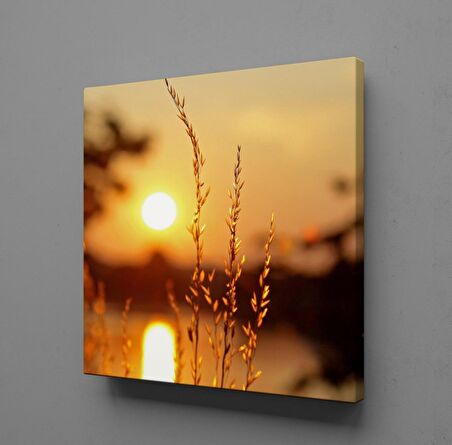 GÜN DOĞUŞU VE BATIŞI ÇİÇEKLER