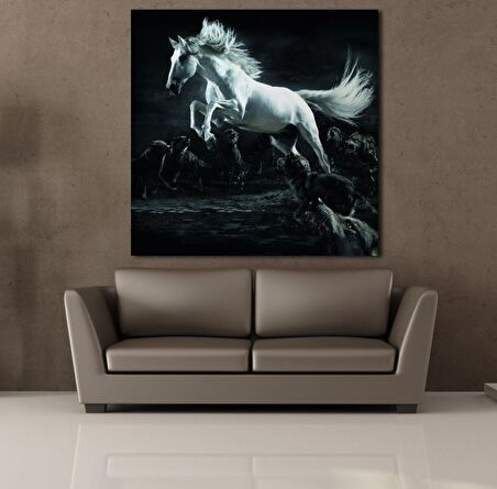 BEYAZ AT