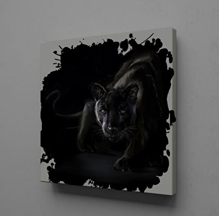 SİYAH ASLAN