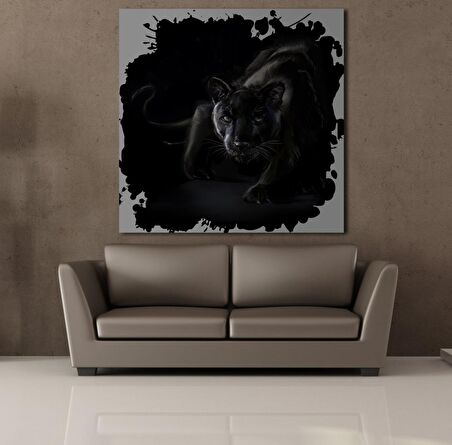 SİYAH ASLAN