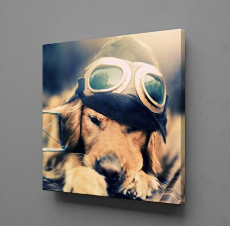 YAVRU KÖPEK