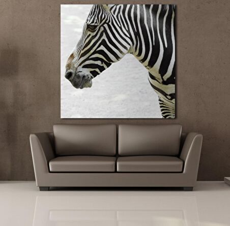 ZEBRA KAFASI