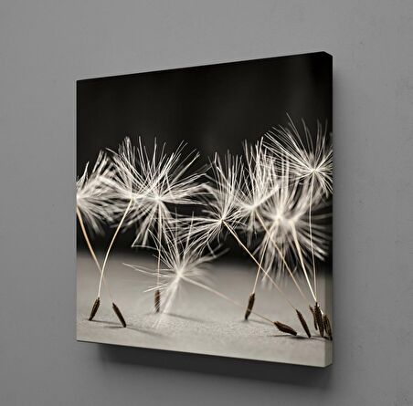 KARAHİNDİBA ÇİÇEĞİ