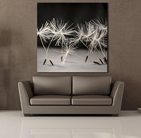 KARAHİNDİBA ÇİÇEĞİ