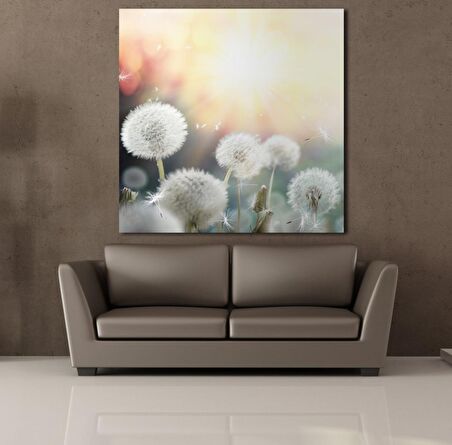 KARAHİNDİBA ÇİÇEKLERİ