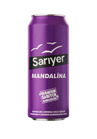 Sarıyer Mandalina Aromalı Gazoz 330 Ml X 24 Adet