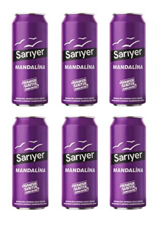 Sarıyer Mandalina Aromalı Gazoz 330 Ml X 6 Adet