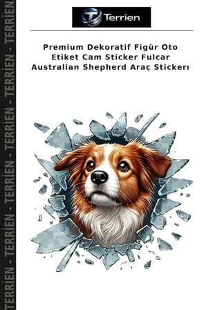 Premium Dekoratif Figür Oto Etiket Cam Sticker Fulcar Australian Shepherd Araç Stickerı