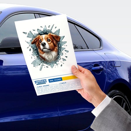 Premium Dekoratif Figür Oto Etiket Cam Sticker Fulcar Australian Shepherd Araç Stickerı