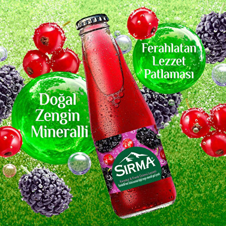 Sırma B Vitaminli Karadut & Frenk Üzümü Aromalı Doğal Maden Suyu 200 ML X 24 Adet
