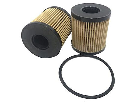Sardes So9921 Yağ Filtresi Berlıngo III Partner Tepe P207 P307 Ec5 P308 C3 C4 Tu5Jp4 (1.6 16V) C5 Ds3 Ds4 P5008 P308 Rcz P807 C8 P508 Expert III Jumpy III Focus Cma2.0Hdı 16V Dw10Bted4 Boxer III Jumper III 22Dt Puma 2.2Hdı Transıt V.184 02>Ducato Iıı