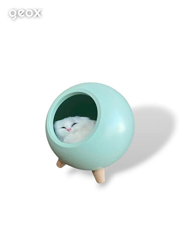 Geox Little Pet House Masa Lambası, Gece Lambası