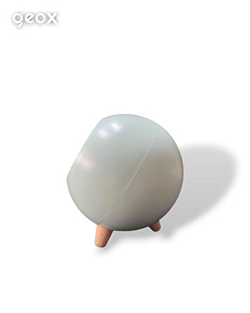 Geox Little Pet House Masa Lambası, Gece Lambası