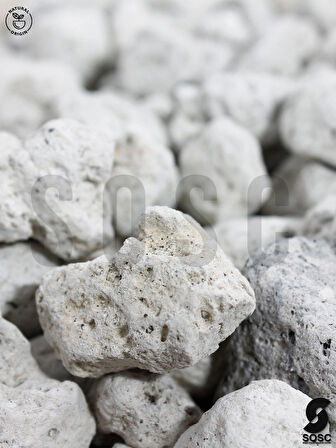 SOSC Natural Volkanik Beyaz Dekoratif Pomza Taşı, 2-4 cm, 10 Litre, Drenaj ve Toprak Nemlendirici Özellikli, Saksı Süsleme