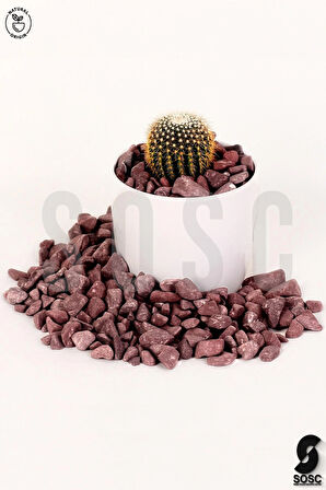 SOSC Natural Bordo Çakıl Taşı Dolomit Taşı Bahçe Süsü Akvaryum Taşı Dere Çakıl Taşı 2-3 Cm 1 Kg