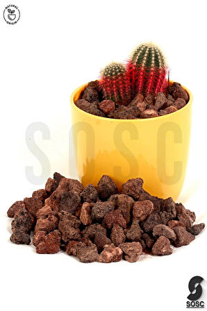 SOSC Natural Kırmızı Pomza Taşı 2-3 cm Volkanik Cürüf Ponza Lav Kırığı 10 Lt