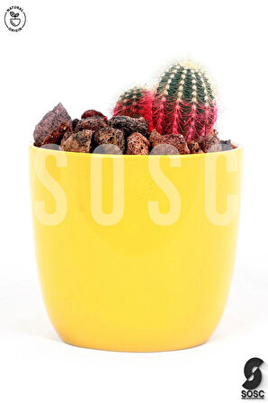 SOSC Natural Kırmızı Pomza Taşı 2-3 cm Volkanik Cürüf Ponza Lav Kırığı 3 Lt