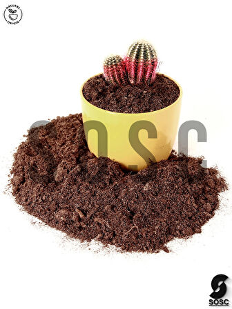 SOSC Natural İthal Sphagnum Bitki Yetiştirme Torfu - Böcek Sinek Yapmaz Premium Kalite 5 Lt