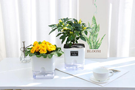 Otomatik Sulamalı Modern Mini Kare Akıllı Saksı