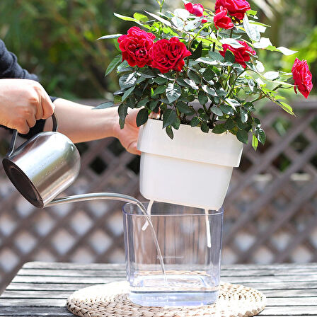 Kendinden Sulamalı Şeffaf Hazneli Kare Akıllı Saksı