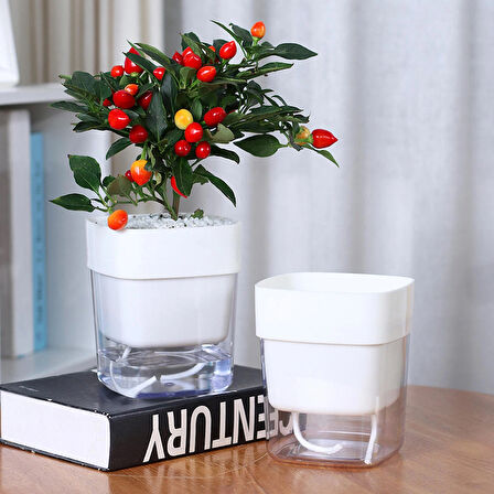 Kendinden Sulamalı Şeffaf Hazneli Kare Akıllı Saksı