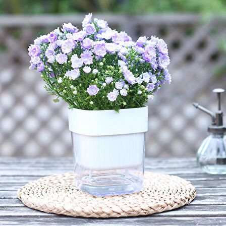 Kendinden Sulamalı Şeffaf Hazneli Kare Akıllı Saksı