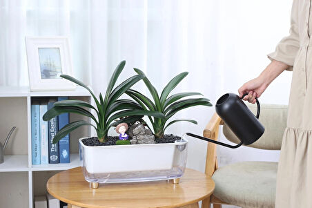 Kendi Kendini Sulayan Modern Akıllı Saksı (Büyük Boy)