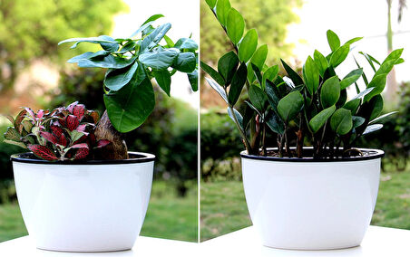 Kendinden Sulamalı Parlak Oval Akıllı Saksı (Büyük Boy)