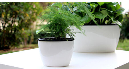 Kendinden Sulamalı Parlak Oval Akıllı Saksı (Büyük Boy)