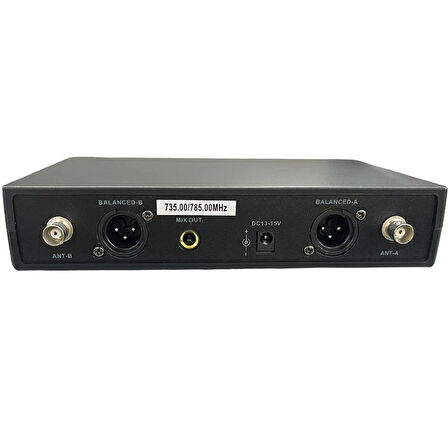  SSP Profesyonel Audio WM602-33 Çift El Telsiz Mikrofon Sistemi