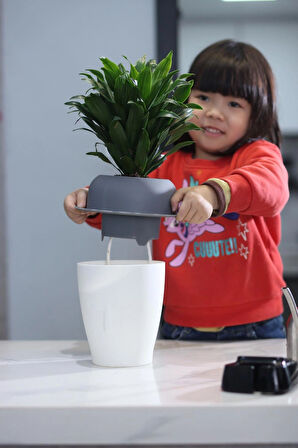 Dekoratif Kendini Otomatik Sulayan Akıllı Saksı (Büyük Boy)