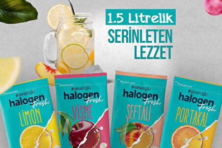 Halogen Meyveli Toz İçecek 4 Lezzet