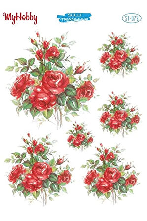 St 073 Sulu Transfer 25x35