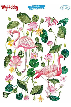 St 209 Flamingo Ve Çiçekli Sulu Transfer 25x35