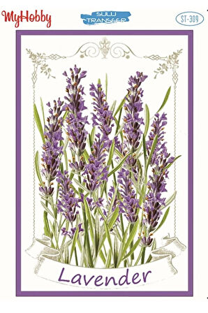 St 309 Lavanta Çiçek Desenli Sulu Transfer 25x35