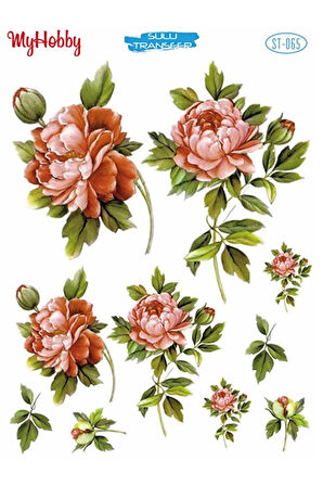 St 065 Pembe Gül Desenli Sulu Transfer 25x35