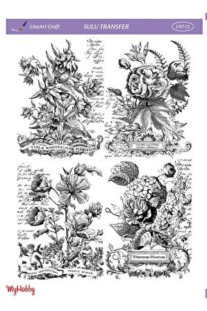 Lineart Çiçek Desenli Sulu Transfer Lnt-71 25x35