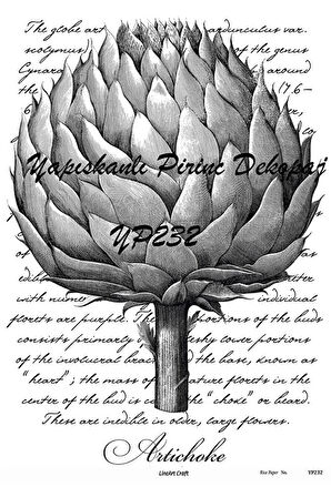 Yp232 Enginar, Artichoke Desenli Kendinden Yapışkanlı Pirinç Dekopaj 29*42