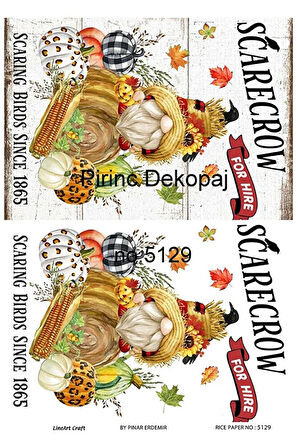 5129 Gnome, Sakallı Cüce, Kabak Desen Pirinç Dekopaj 30x42