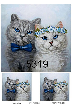 5319 Kedi Desen Pirinç Dekopaj 30x42