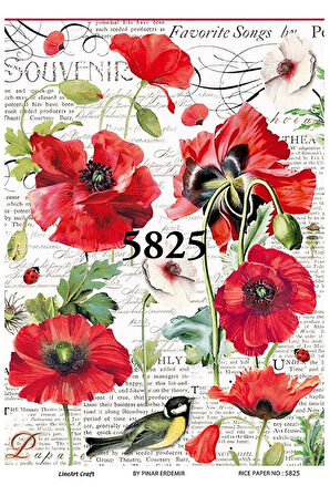 5825 Kırmızı, Gelincik, Kuş Desenli Pirinç Dekopaj 30x42