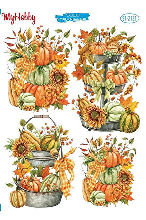 ST 2121 Çoklu Balkabağı, Pumpkin, Sulu Transfer 25x35