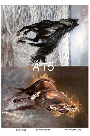 AT Serisi AT5 At Yuvarlak Pirinç Dekopaj 30x42