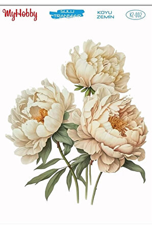 KZ002 Koyu Zemin Şakayık, Krem Renk Çiçek Desenli Sulu Transfer 25x35