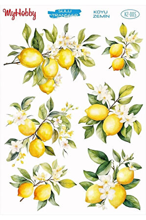 KZ005 Koyu Zemin Limon Desenli Sulu Transfer 25x35
