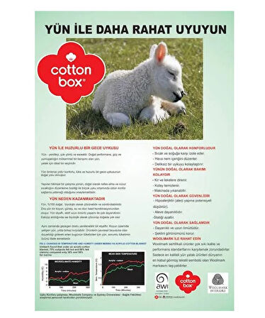 Cotton Box %100 Yün Yastık (50x70)